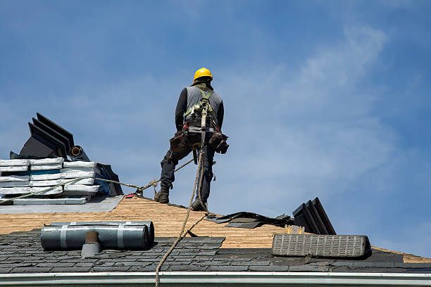 Professional Storm Damage Roof Repair technician working in Lowry, MN