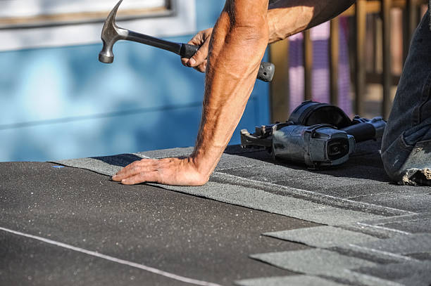 Affordable Storm Damage Roof Repair solutions in Lowry, MN